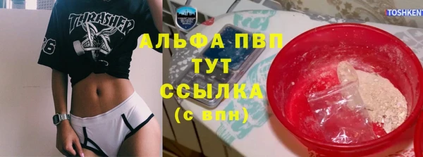 гашик Арсеньев