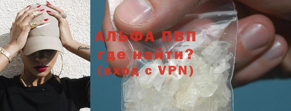 спиды Аркадак