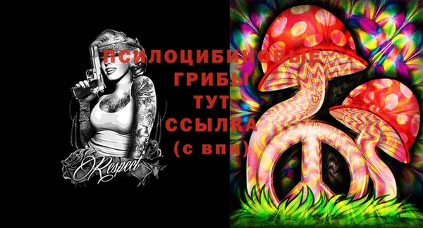 гашик Арсеньев