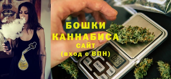 гашик Арсеньев