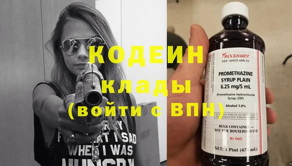 гашик Арсеньев